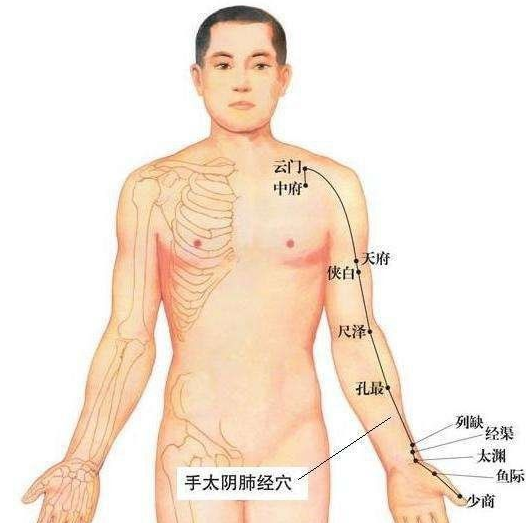 QQ截图20211105115908