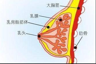 QQ截图20211105162025