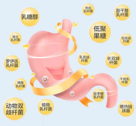 QQ截图20211106082942