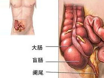 QQ截图20211106083058