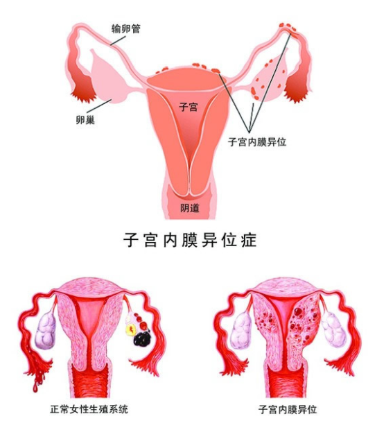 QQ截图20211106100533