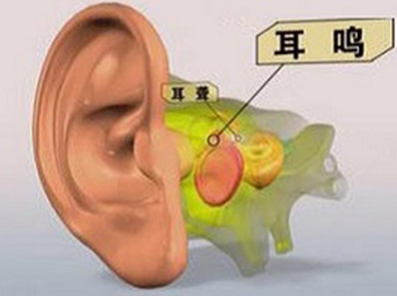 QQ截图20211106101354