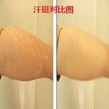 QQ截图20211106110835