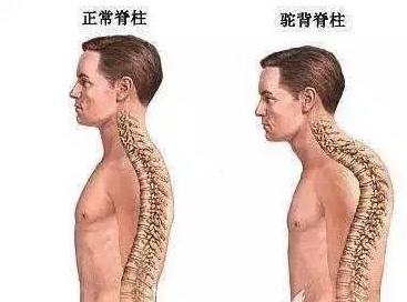 QQ截图20211106144007