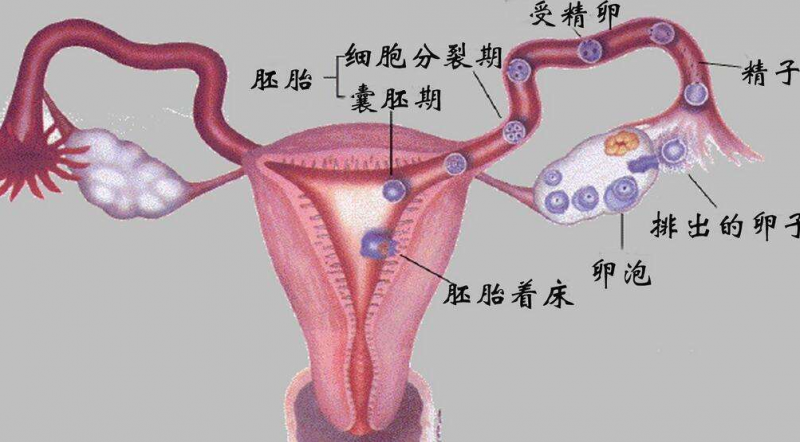 QQ截图20211106162614