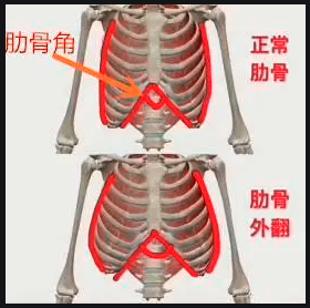QQ截图20211107161805