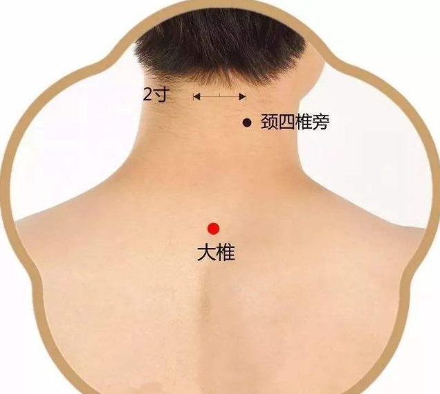 QQ截图20211108094418