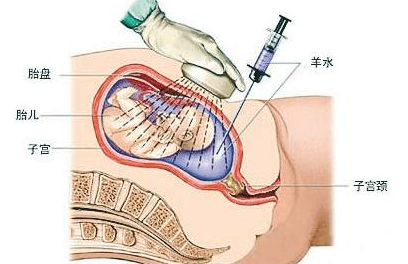 QQ截图20211108105517