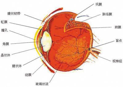 QQ截图20211108134759