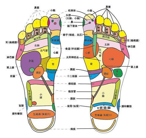 QQ截图20211108140419