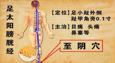 QQ截图20211108144152