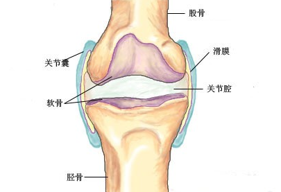QQ截图20211108144354