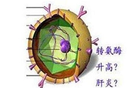 QQ截图20211108161523