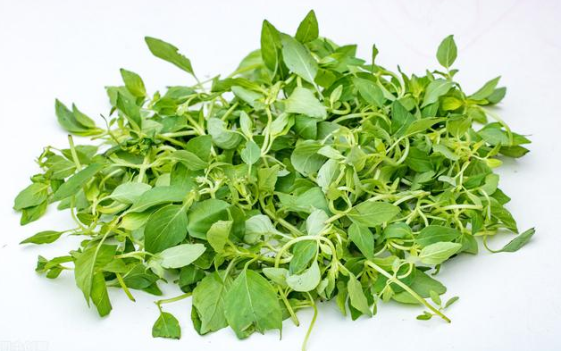 一,荆芥拌黄瓜荆芥拌黄瓜是一种比较常见的家常菜,并且做法也是非常