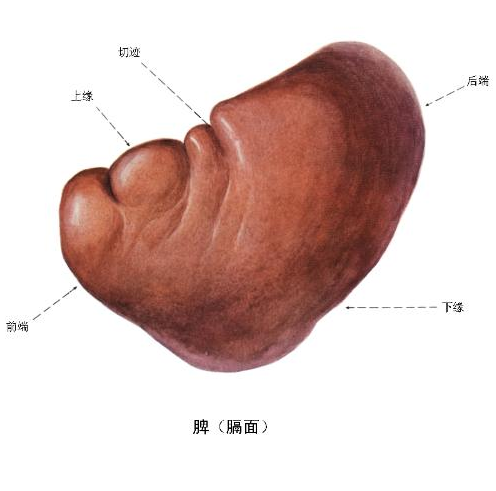 QQ截图20211109082710