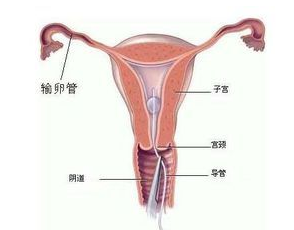 QQ截图20211109093400