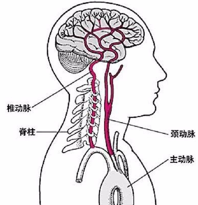 QQ截图20211109093602