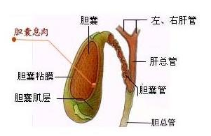 QQ截图20211110103841