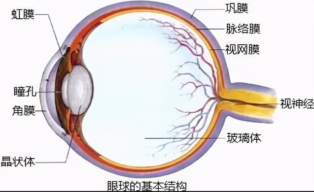 QQ截图20211110104751
