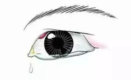QQ截图20211110110416