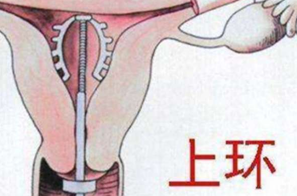 QQ截图20211111105712