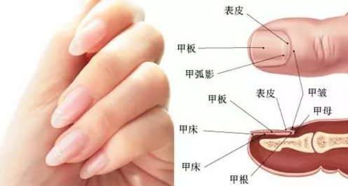 QQ截图20211112093653