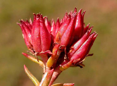 QQ截图20211112093939