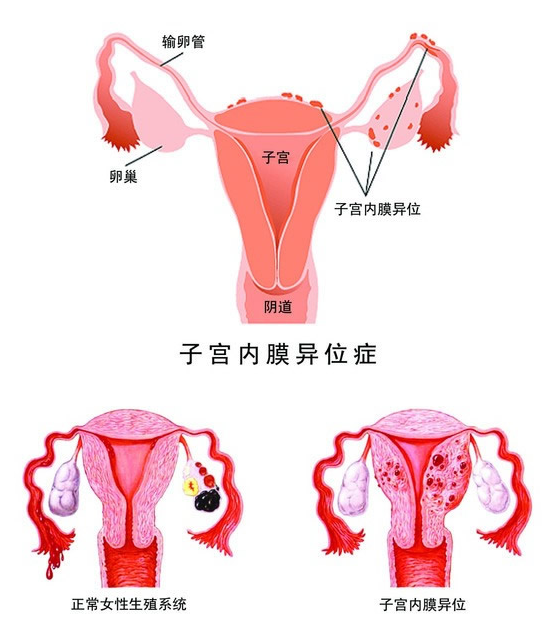 QQ截图20211112103805