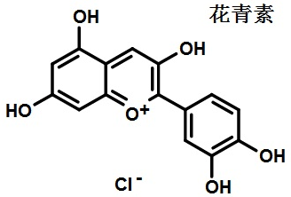 QQ截图20211113083723