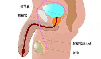 QQ截图20211113083856