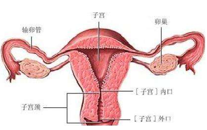 QQ截图20211113084143