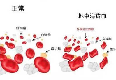 QQ截图20211113085459
