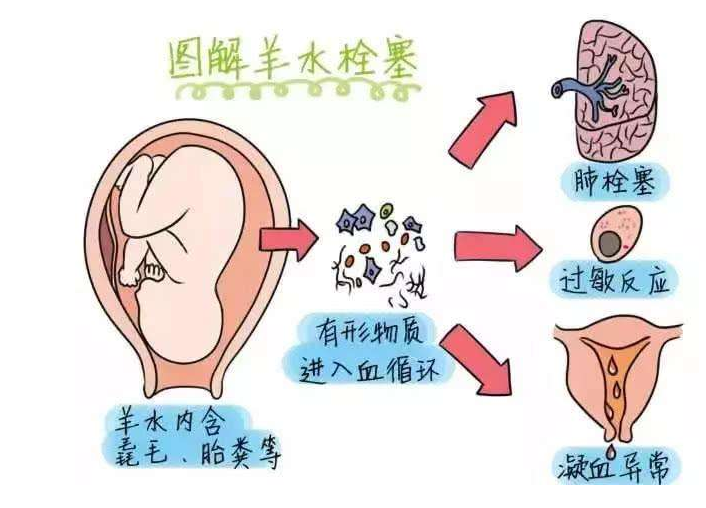 QQ截图20211116084721