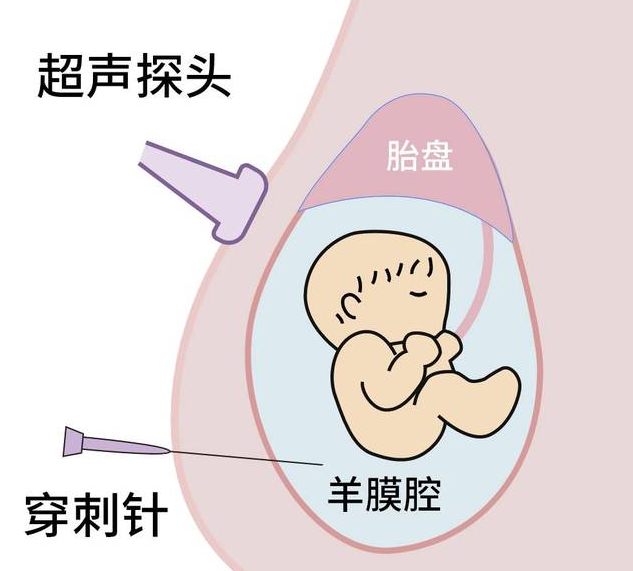 QQ截图20211116090008