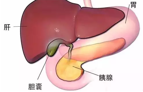 QQ截图20211116095601