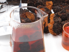 挺茸桦褐孔菌固体饮料的功效 介绍它的四大作用