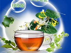 天天清大茶