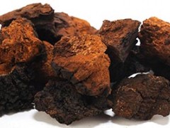 什么人不可以喝白桦茸 白桦茸这三类人群不可以喝