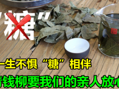天然胰岛素青钱柳茶受青睐