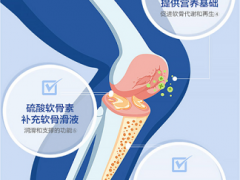 氨糖的作用和副作用 认识氨糖的3大功效及副作用