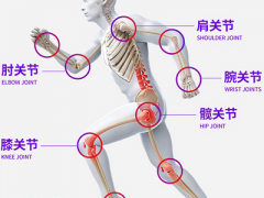 氨糖软骨素哪个牌子好 认准三大品牌氨糖软骨素