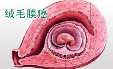 QQ截图20211202155517