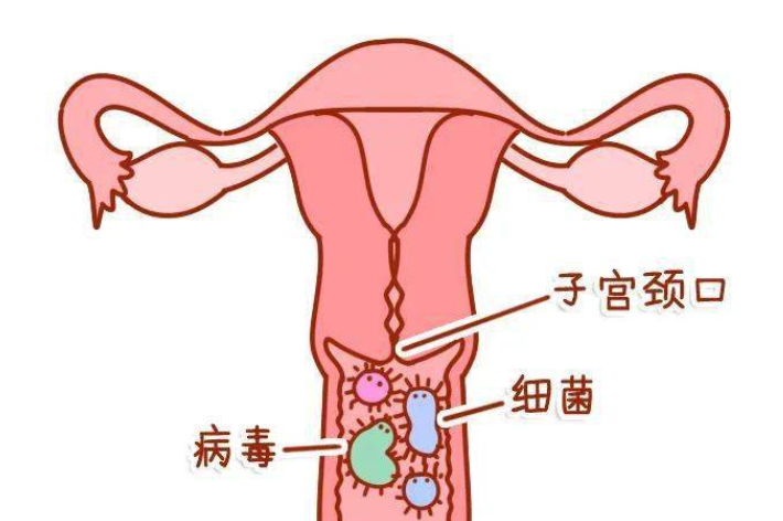 QQ截图20211202163508