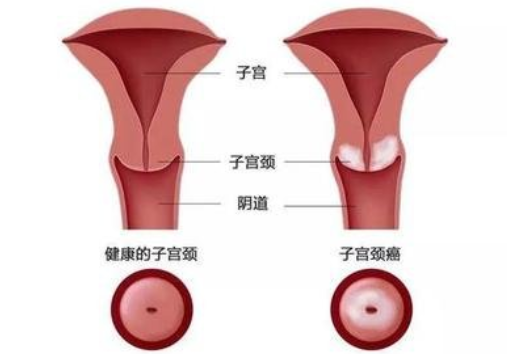 QQ截图20211202163621
