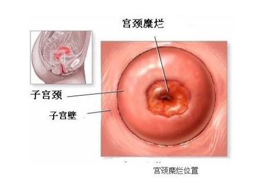 QQ截图20211202163543