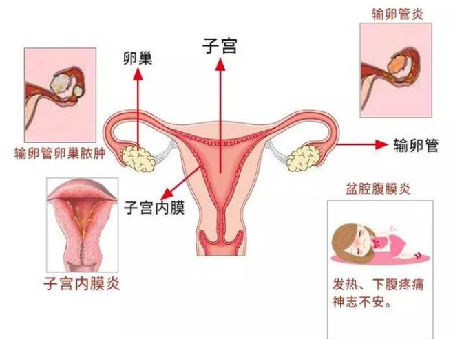 QQ截图20211203081929