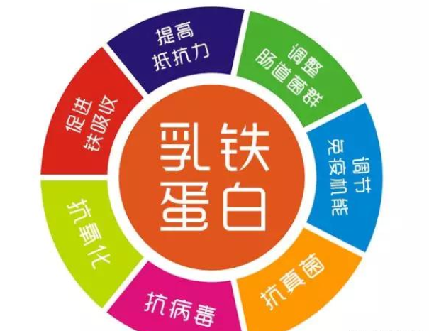 QQ截图20211206165645