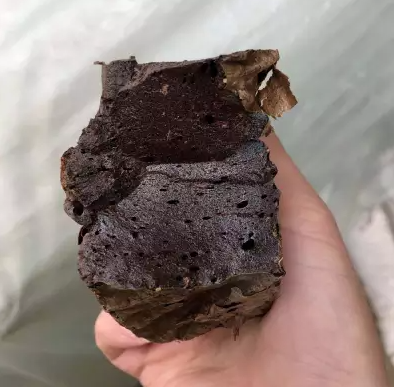 QQ截图20211210162624