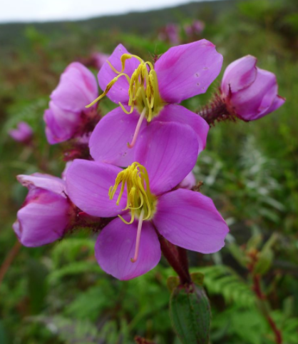 QQ截图20211210165021
