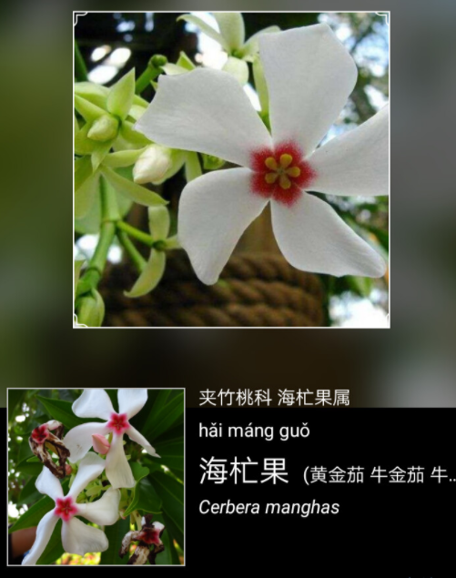 QQ截图20211211090458